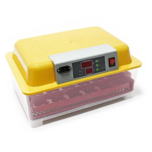 Couveuse automatique oeufs - automatique, 24