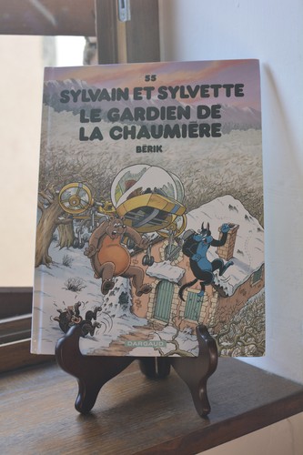 Sylvain sylvette le - sylvain, 55