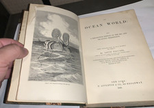 Ocean World Louis Figuier 1868 Leather Bound 427  Bevalet Engravings Sharks Fish