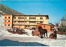 Animals - horses - Morzine - Florimont children's board - sled - automobile