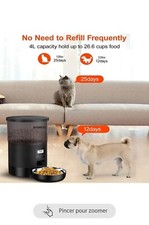 Distributeur Croquettes Chat