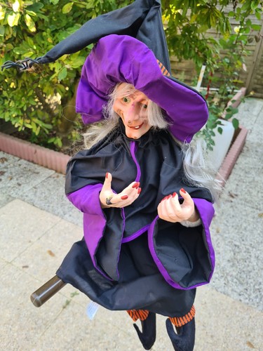 Halloween sorcière flying - ,
