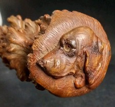 Ancienne Canne Neflier Chien De Chasse Sculpture Old Hunter Cane Dog Carved XIX
