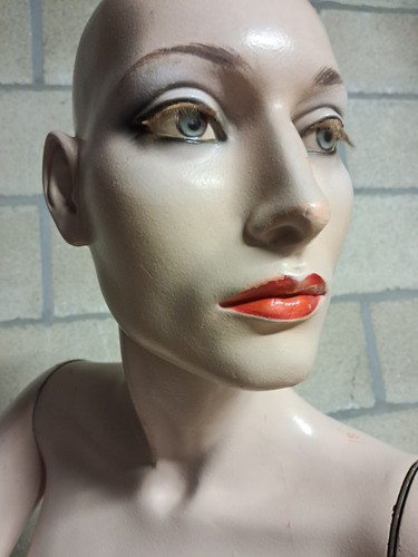 Vintage hindsgaul realistic - vintage,