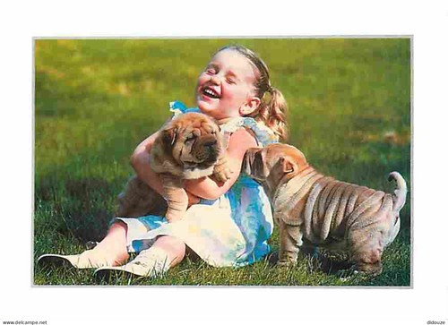 Carte postale animaux - -,