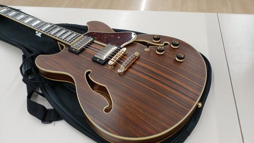 Ibanez as93 01 - 5b-01, 950423