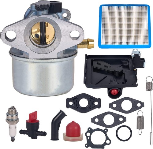 Kit carburateur pour briggs - carburateur, &