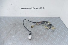 Faisceau electrique Yamaha TTR