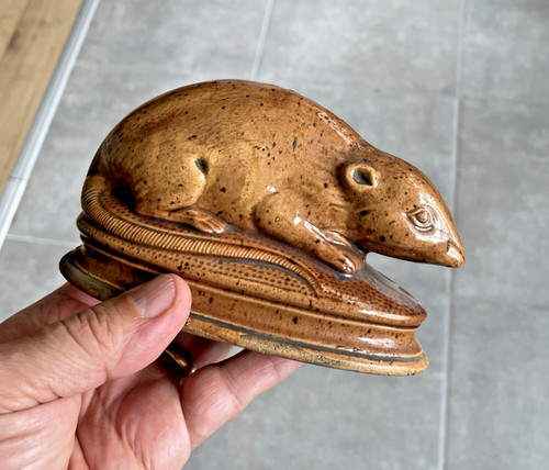 Tirelire casser rat en - ,
