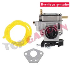 Carburateur pour Walbro
