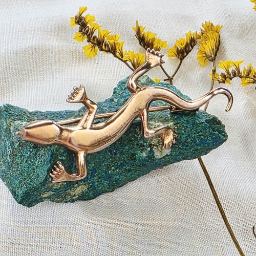 Broche lézard salamandre - broche, /