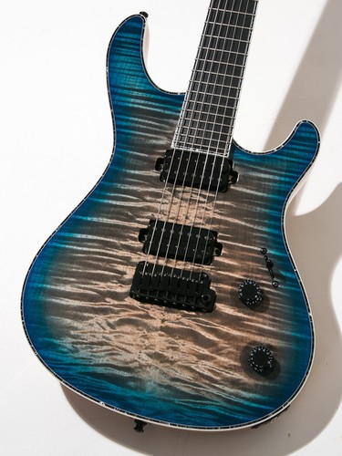 Mayones regius v24 trans - v24, 7