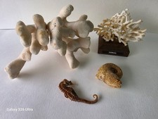 Lot déco marine naturelle –