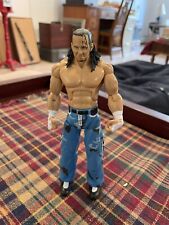 Matt Hardy WWE Jakks Deluxe Aggression Action Figure DA WWF Wrestler Wrestling