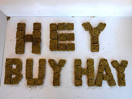 Compressed hay grass - compressed, hay/grass