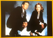 GILLIAN ANDERSON DAVID