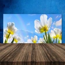 Crédence de cuisine en verre