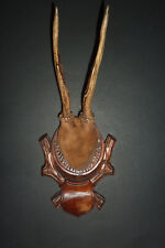 old massacre hunting trophy deer taxidermy carved wooden frame