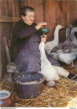 Animals - Birds - Geese - Gaveuse - CPM - See Duplex Scans