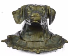 Rare Labrador Retriever