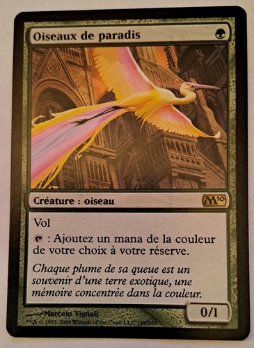 Magic mtg oiseaux de - magic,