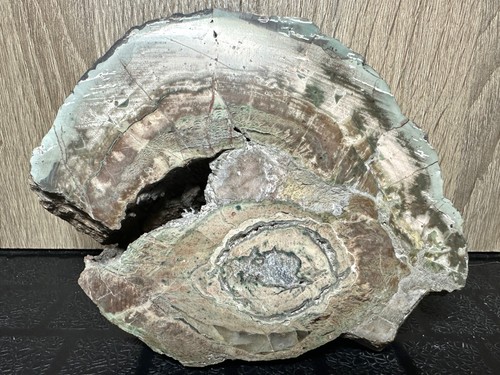 Lithophyse xxl demi - lithophyse, gÉode