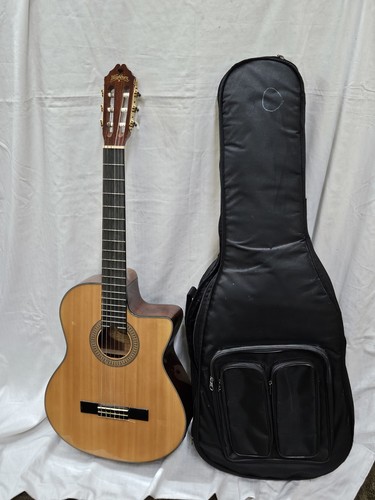 Washburn classical series - classical,