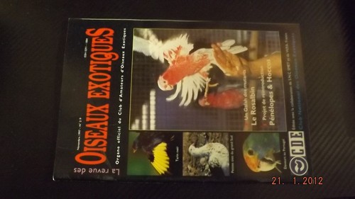 Revue oiseaux exotiques - oiseaux,