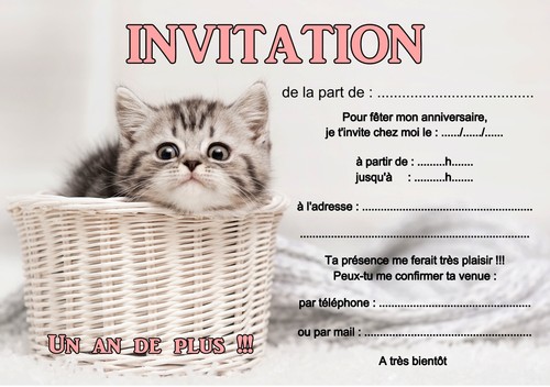 Ou 14 cartes - -,