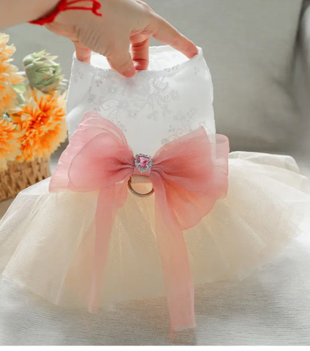 Robe chien animal dentelle - chien,