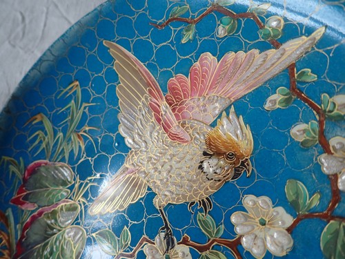 Assiette oiseau exotique fin
