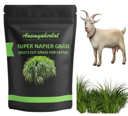 Seebs herbe super - seebs, d'herbe