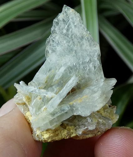 Baryte bleue mas - bleue, mas,