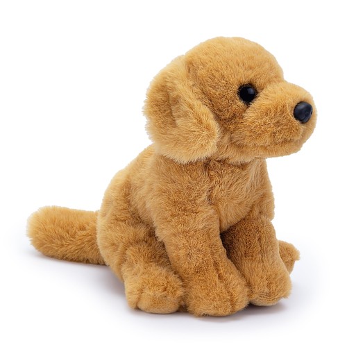 Palm pups golden retriever - pups,