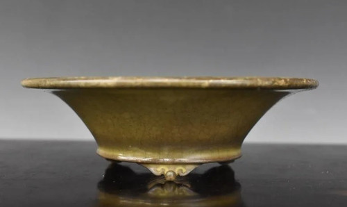 Pot bonsaï japonais - bonsaï,