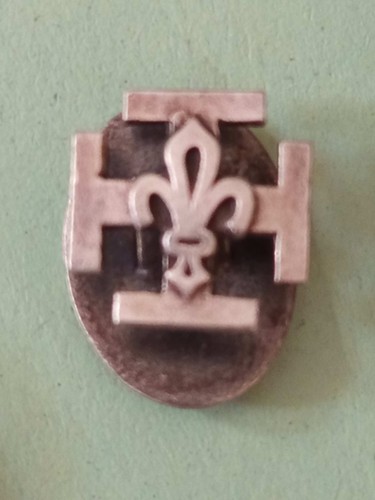 Insigne boutonnière scout - boutonnière,