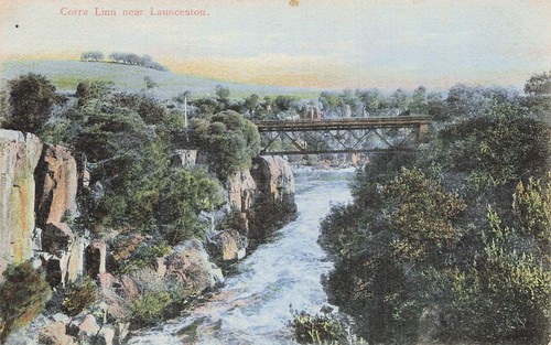 Australie launceston corra - australie,