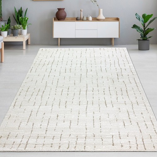Tapis salon chambre à - de,