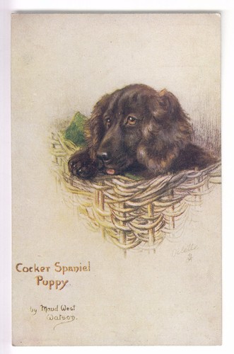 Cpa animal fantaisie chien - cpa,