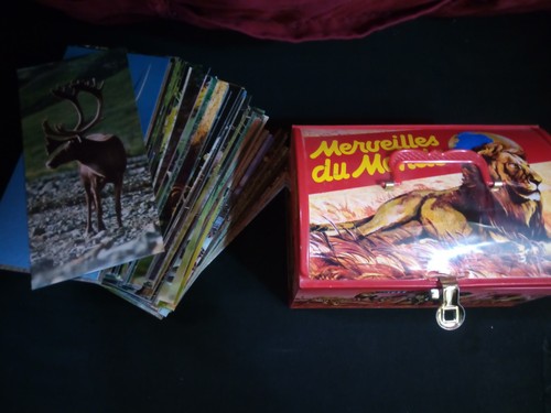 Cartes merveilles monde - cartes,