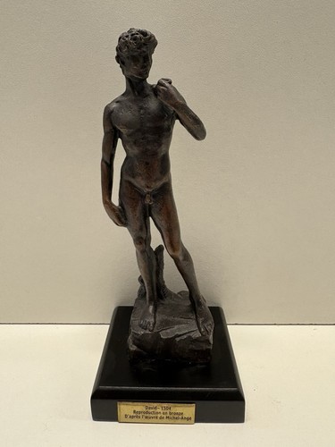 Statue bronze david 1504 - en,