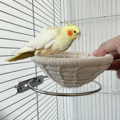 Cage oiseaux intérieur - oiseaux, d'intérieur