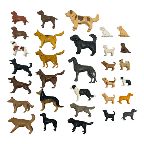 Sympa chien chiot - chien, /