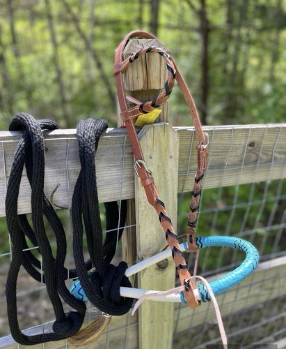 Bitless hackamore rawhide - bitless,