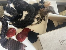 Lot de Plumes Ancienne Haute