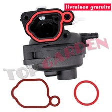 Carburateur pour Briggs &