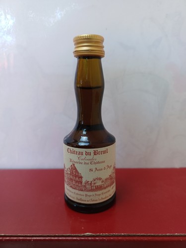 Bouteille alcool miniature - d'alcool,