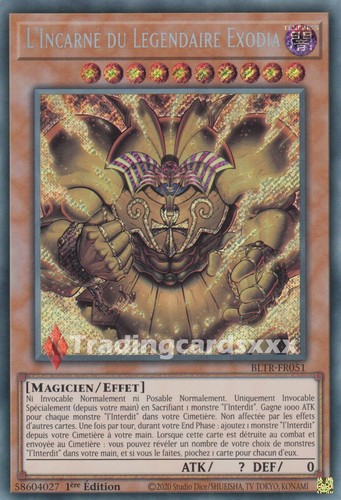 L incarné du - yu-gi-oh!,