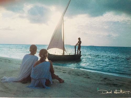 Carte postale david - postale,