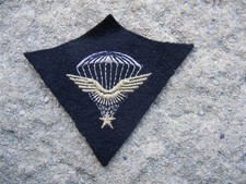 INS 189 . PARAS . BREVET